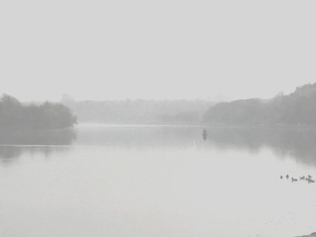 Nebel zerstreut / ***