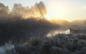 Chilly Herbstmorgen / ***