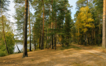 Forststraße / ***