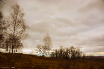 November / ...