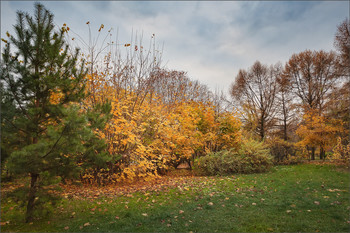 die Kontraste der Herbst / ***