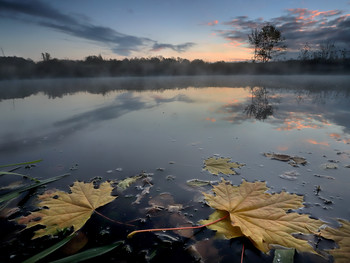 Herbstzeit ... / ***