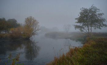 Oktober Nebel / ***