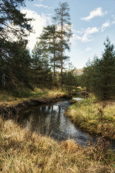 Zlatibor Mountain / Creek on Zlatibor mountain. Shot with Nikon D5600 and 18-105mm lens. Edited with Luminar4.