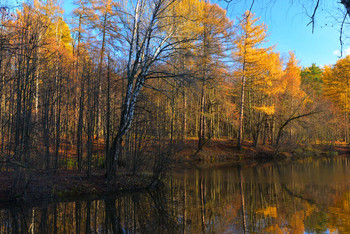 Herbst / ...