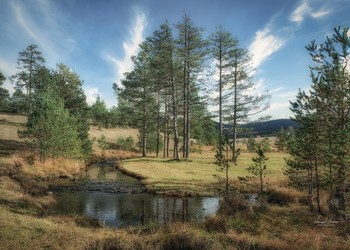 Zlatibor, Vodice / Beautiful nature on Zlatibor mountain. Shot with NikonD5600 and 18-105mm lens