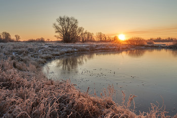 Frostigen Morgen. / ***