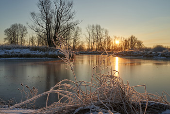 Frostigen Morgen. / ***
