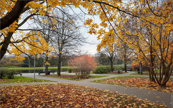 Herbst im Park ... / ***