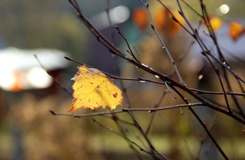 Herbst / ***