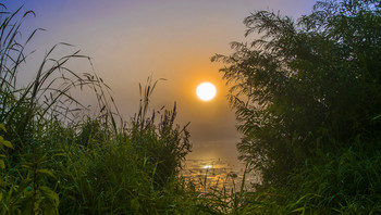 Nebel in der Morgendämmerung. / ***