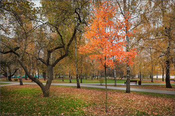 Im Herbst des Parks ... / ***