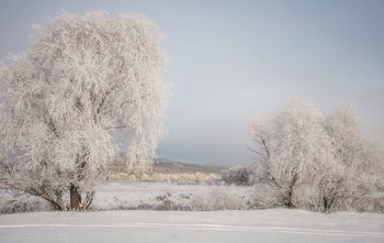 Der erste Frost / https://imgur.com/a/fPCB27Y