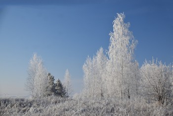 Frosty Day / ...