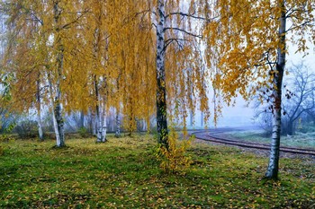 Herbstnebel. / ***