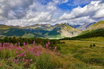 Glimpses of Vallaccia / Livigno upper Valtellina - Italy