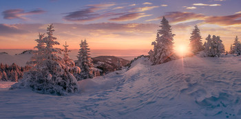 Winter Panorama #2 / Morgens auf der Stubalpe in der Steiermark.