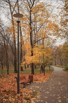 Im Herbst des Parks ... / ***