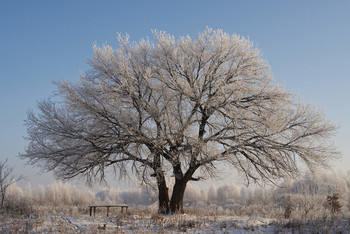 Der Winter kam / ***