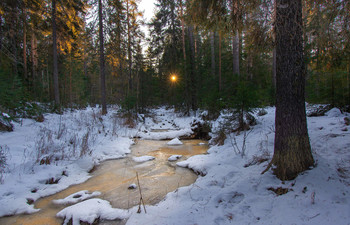 Winter river / ***