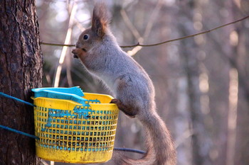 Frühstück / ***