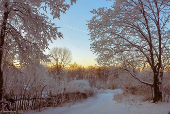 Frost und Sonne / ...