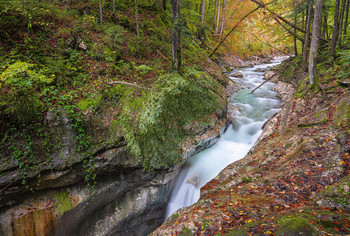 Tauglbach / Tauglbach