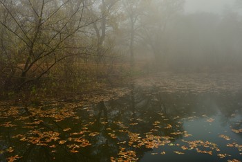 Am Teich / ***