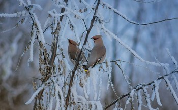 &nbsp; / https://www.youtube.com/watch?v=XkfjWevju9g