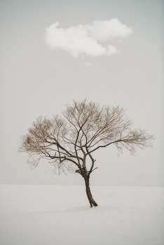 Der Winter kam / ***