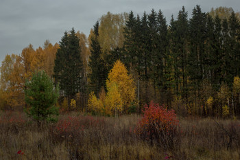 Herbstabend / ***