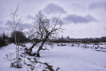 &nbsp; / 04.01.2019.