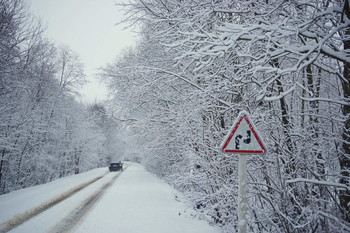 Winter road. / ***