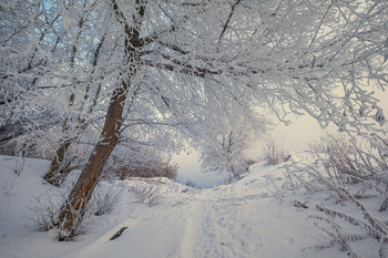 Silvester / ***