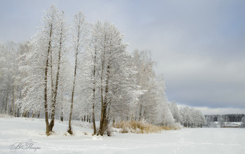 Der Winter kam / ***