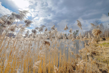 Auf dem See / ***