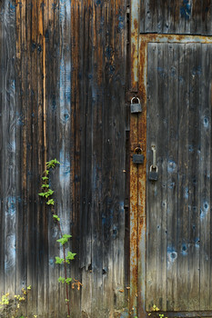 Optimistisch / ***