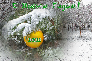 Frohes Neues Jahr! / ***