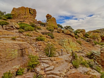 Spur / Chiricahua National Monument, Arizona, USA