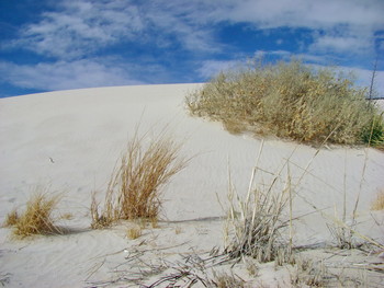 &nbsp; / White Sands National Monument, New Mexico, USA