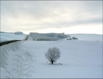 Winterlandschaft / ***