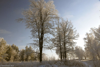 Winterbild / ...