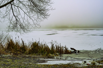 Der Geruch des Herbstes / ***