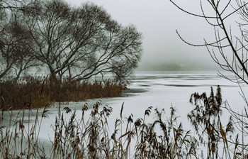 Der Geruch des Herbstes / ***