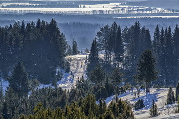 Winterlandschaft / ***