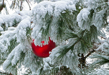 Herbst Morgendämmerung / ***