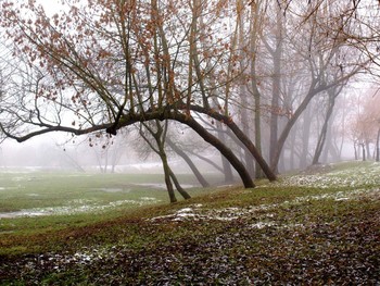 Der Nebel / ***