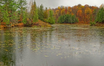 &nbsp; / Opinicon Lake, Ontario, Canada