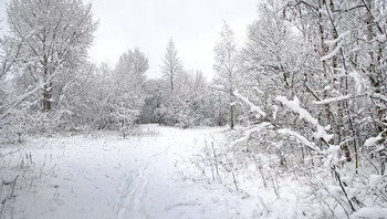Schnee / ***