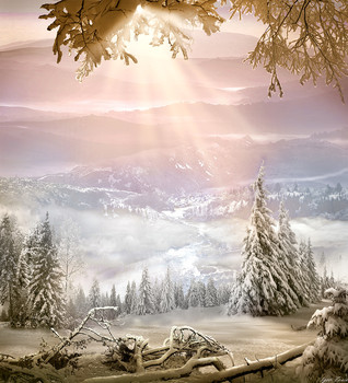 Karpaten / ***